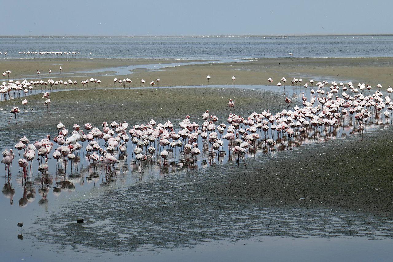 Walvis Bay, Namibia